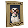 Natural Wood Photo Frames AJEW-WH0292-047-1