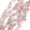 Natural Rose Quartz Beads Strands G-G0003-B05-1