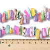 Dyed Natural Trochus Shell Beads Strands X-SSHEL-C013-09G-4
