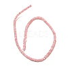 Dyed Natural Freshwater Shell Beads Strands BSHE-G039-07D-2
