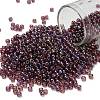 TOHO 8/0 Round Beads X-SEED-TR08-0166B-1