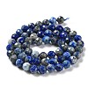 Natural Lapis Lazuli Beads Strands G-J400-E10-06-3