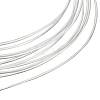 925 Sterling Silver Wire FIND-BBC0002-89D-1