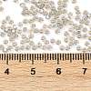 MIYUKI Round Rocailles Beads X-SEED-G007-RR2433-3