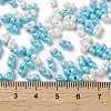 Glass Seed Beads SEED-L011-04A-18-4