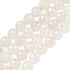 Natural Quartz Crystal Beads Strands G-E571-A11-02-1