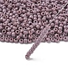 TOHO 6/0 Round Beads X-SEED-TR06-0052-2