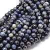 Natural Sodalite Round Beads Strands G-P075-07-8mm-1