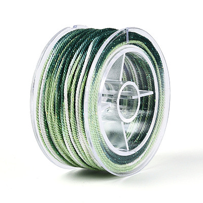 27M Segment Dyed Round Polyester Twisted Cords OCOR-N009-02A-03-1