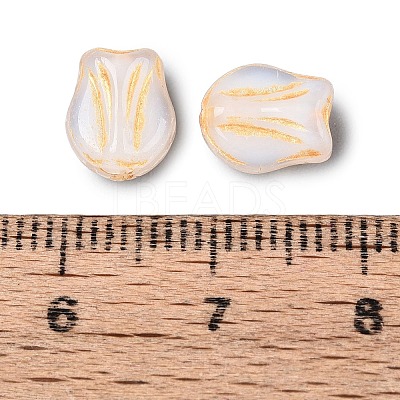 Glass Beads GLAA-T021-76M-01-1