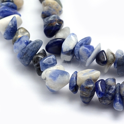 Natural Sodalite Beads Strands X-G-P332-21-1