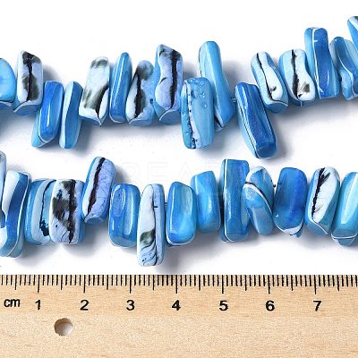 Dyed Natural Trochus Shell Beads Strands SSHEL-C013-09F-1