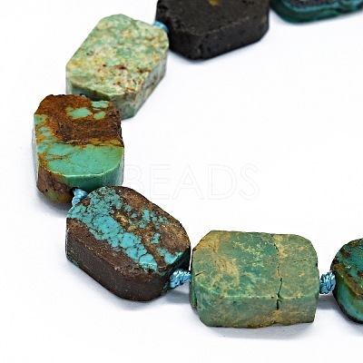 Natural Turquoise Beads Strands G-F725-10-1