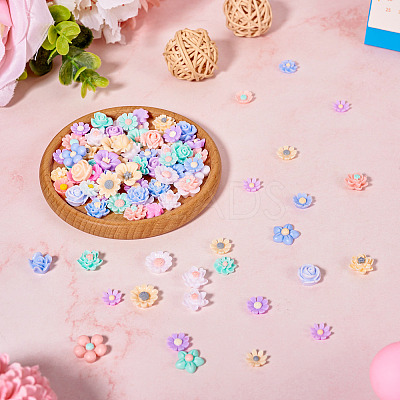 3 Bags Resin Cabochons RESI-TA0003-13B-1