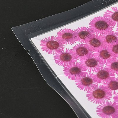 Centaurea Iberica Embossing Dried Flower DIY-K032-65E-1