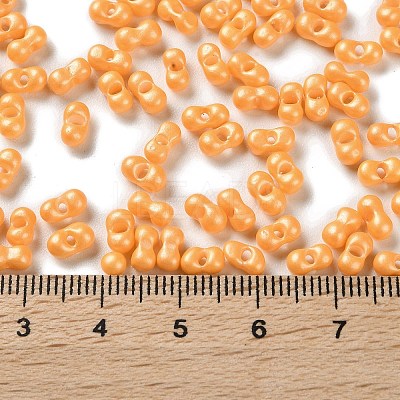Glass Seed Beads SEED-L011-04A-06-1
