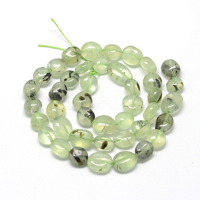Natural Prehnite Beads Strands X-G-R445-8x10-25-1