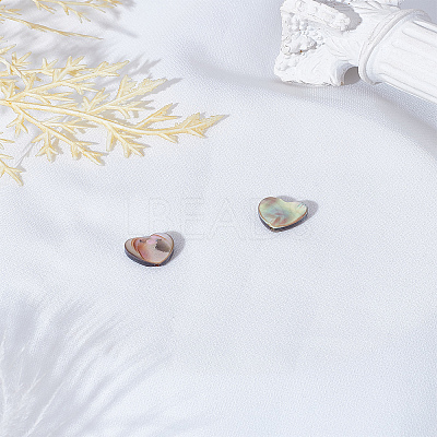 2Pcs Natural Abalone Shell/Paua Shell Beads SSHEL-LP0001-02-1