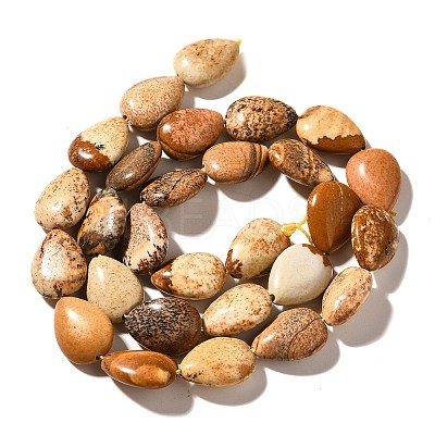 Natural Picture Jasper Beads Strands G-I377-A17-1