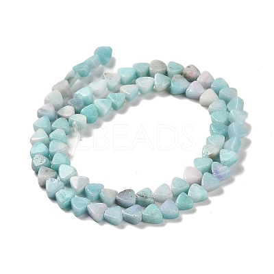 Natural Dolomite Beads Strands G-F765-H07-01-1