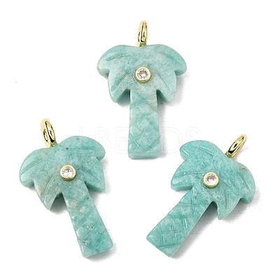 Natural Amazonite Carved Pendants X-G-C282-04D-1