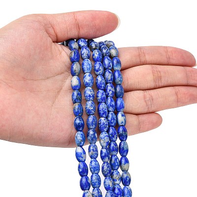 Natural Lapis Lazuli Beads Strands G-K311-10B-03-1