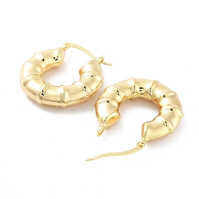 Brass Hoop Earrings EJEW-H301-01G-01-1