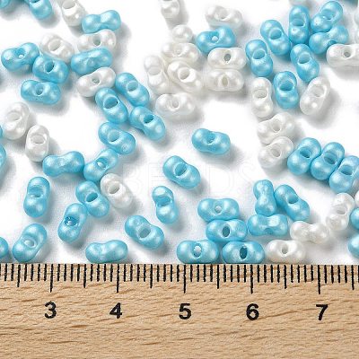 Glass Seed Beads SEED-L011-04A-18-1