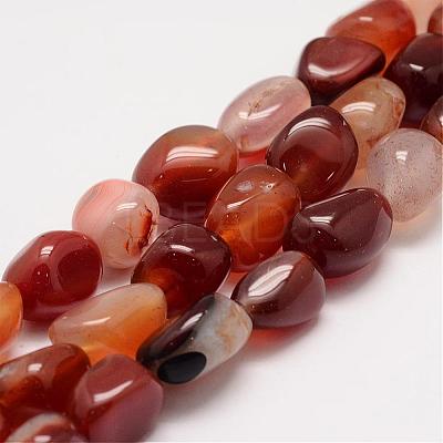 Natural Carnelian Bead Strands G-K153-D09-1