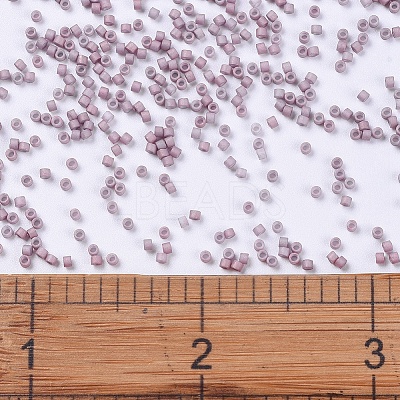 MIYUKI Delica Beads Small X-SEED-J020-DBS0379-1