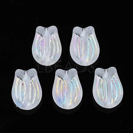Transparent Acrylic Beads TACR-S134-033-1