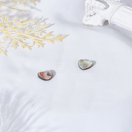 2Pcs Natural Abalone Shell/Paua Shell Beads SSHEL-LP0001-02-1