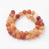 Natural Red Agate Bead Strands G-G735-64F-10mm-2