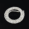 Natural White Shell Bead Strands SSHEL-N003-144A-01-2