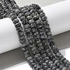 Faceted Natural Labradorite Rondelle Beads Strands X-G-K090-02-5