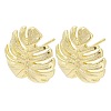 Brass Stud Earring Findings KK-Z099-04G-03-1