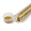 Plastic Glitter Powder Fillers LS-AJEW-H144-01A-1
