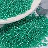 MIYUKI Round Rocailles Beads X-SEED-G009-RR0572-1