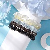 12 Constellation Natural Mixed Gemstone Chip Beaded Stretch Bracelets Sets for Women Men BJEW-JB10264-12-4
