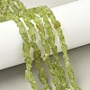 Raw Rough Natural Peridot Beads Strands G-M453-C02-1