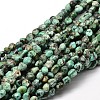 Natural African Turquoise(Jasper) Nuggets Beads Strands X-G-J335-43-1