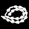 Natural Trochid Shell/Trochus Shell Beads Strands SSHEL-R145-05-4