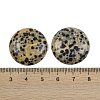Natural Dalmatian Jasper Cabochons G-H1596-FR-25mm-07-3