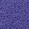 MIYUKI Round Rocailles Beads SEED-G008-RR0417L-3