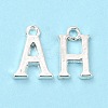Alloy Charms TIBE-R313-049S-2