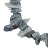 Natural Kyanite Beads Strands G-C253-04-4