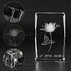 Transparent Glass Display Decorations DJEW-WH0010-40-6