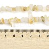 Natural Freshwater Shell Beads Strands BSHE-G036-02-4
