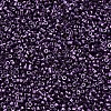 Glass Cylinder Beads SEED-S047-B-012-3