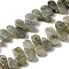 Natural Labradorite Beads Strands G-B064-B62-1